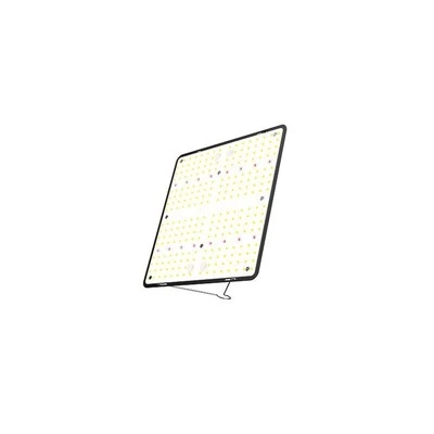 Sobna rastlina Quantum Board 100 W